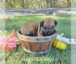 Small #1 Breeder Profile image
