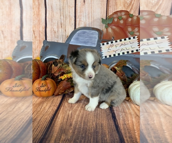 Medium Photo #1  Breeder Profile in EVANS, CO, USA