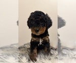 Small #1 Breeder Profile image