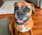 Small #7 Breeder Profile image