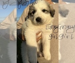 Small #11 Breeder Profile image