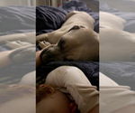 Small Photo #4  Breeder Profile in STUART, IA, USA