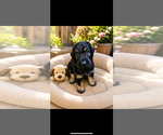 Small #1 Breeder Profile image