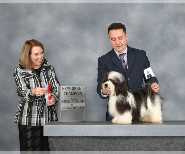Medium Photo #4  Breeder Profile in CAMPBELL, TX, USA