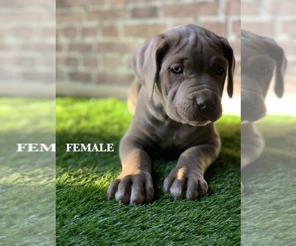 Medium Photo #1  Breeder Profile in SAN BERNARDINO, CA, USA