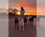 Small #5 Breeder Profile image