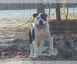 Small #11 Breeder Profile image