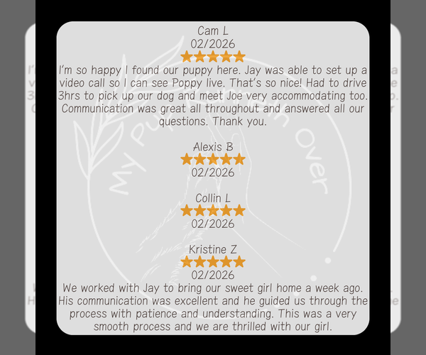 Medium Photo #6  Breeder Profile in GOSHEN, IN, USA