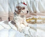 Small #18 Breeder Profile image