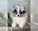 Small #10 Breeder Profile image