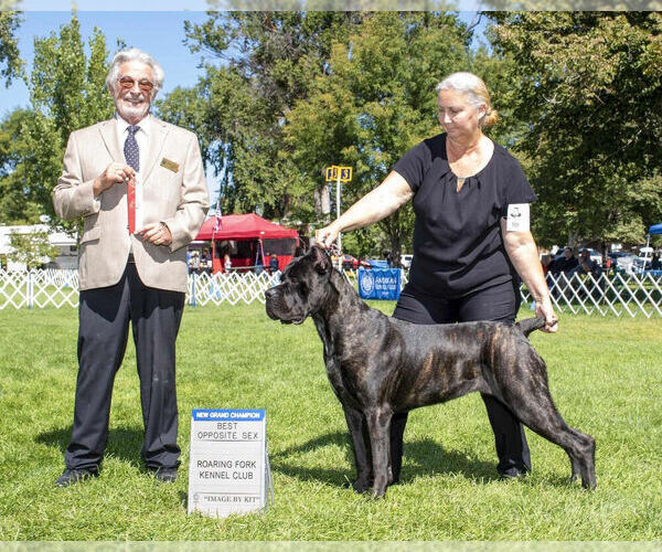 Medium Photo #1  Breeder Profile in CAMBY, IN, USA