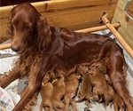 Small #3 Breeder Profile image