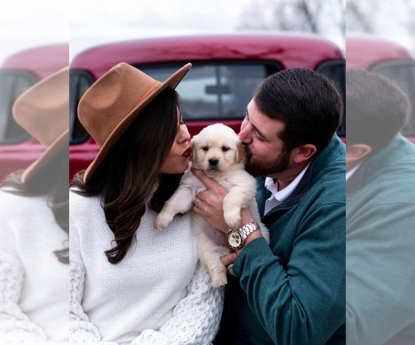 Medium Photo #1  Breeder Profile in AYDEN, NC, USA