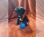 Small #21 Breeder Profile image