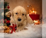 Small #30 Breeder Profile image