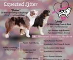 Small #31 Breeder Profile image