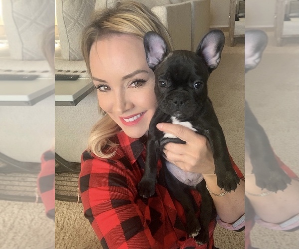 Medium Photo #1  Breeder Profile in EL PASO, TX, USA
