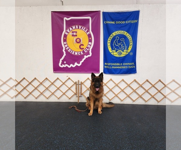Medium Photo #2  Breeder Profile in CHRISNEY, IN, USA