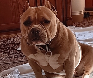 Medium Breeder Profile Photo