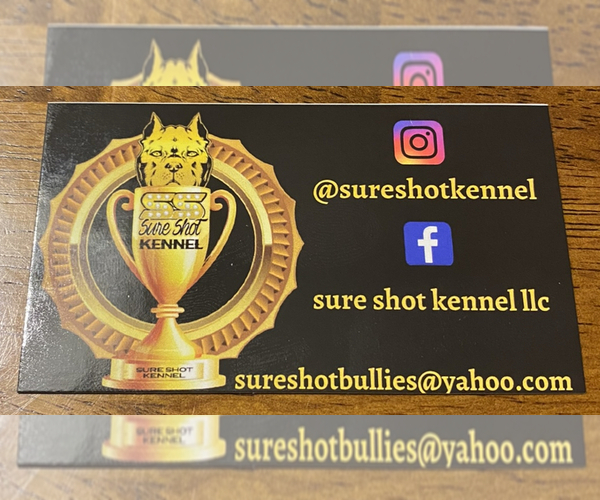 Medium Photo #1  Breeder Profile in CARMEL, IN, USA