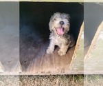 Small #22 Breeder Profile image