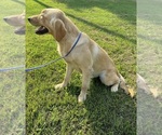 Small #14 Breeder Profile image