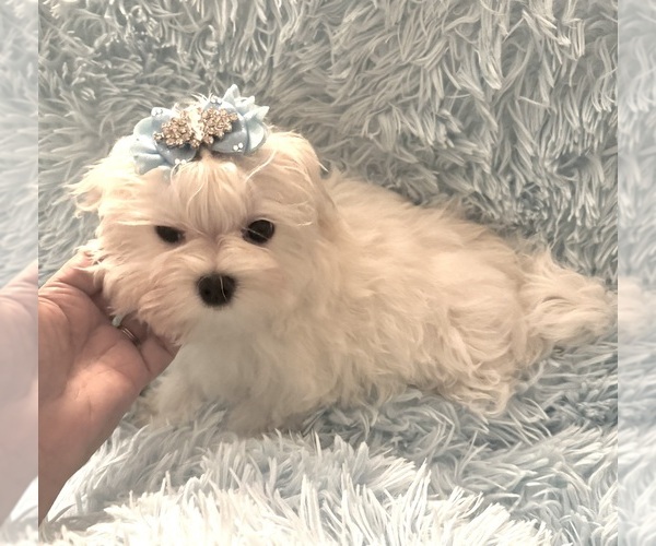 Medium Photo #1  Breeder Profile in LOCKPORT, LA, USA