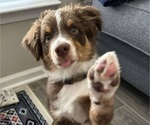 Small #18 Breeder Profile image