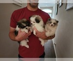Small #9 Breeder Profile image