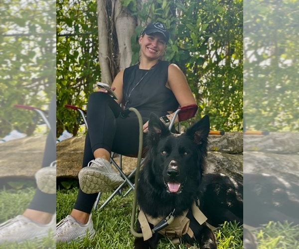 Medium Photo #1  Breeder Profile in MIAMI, FL, USA