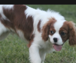 Small #4 Breeder Profile image