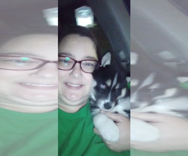 Medium Photo #1  Breeder Profile in STATESBORO, GA, USA