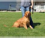 Small #5 Breeder Profile image