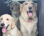 Small #3 Breeder Profile image