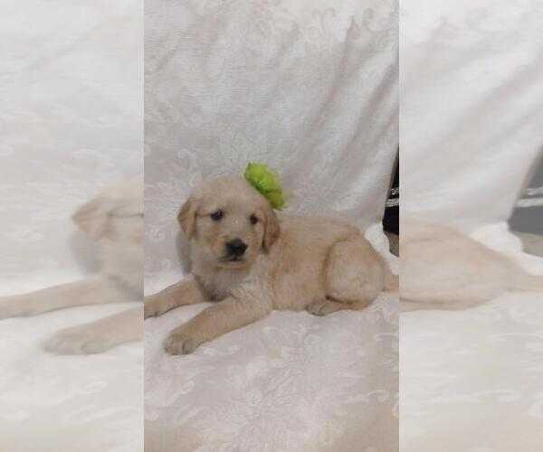 Medium Photo #14  Breeder Profile in BROOKSVILLE, KY, USA