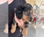 Small #6 Breeder Profile image