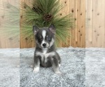 Small #6 Breeder Profile image