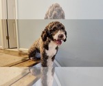 Small #13 Breeder Profile image