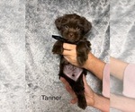 Small #86 Breeder Profile image