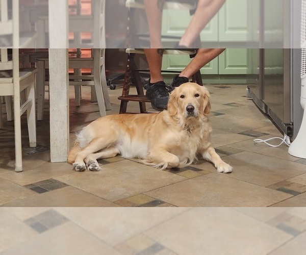 Medium Photo #1  Breeder Profile in SLIDELL, LA, USA