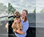 Small #14 Breeder Profile image