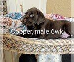 Small #1 Breeder Profile image