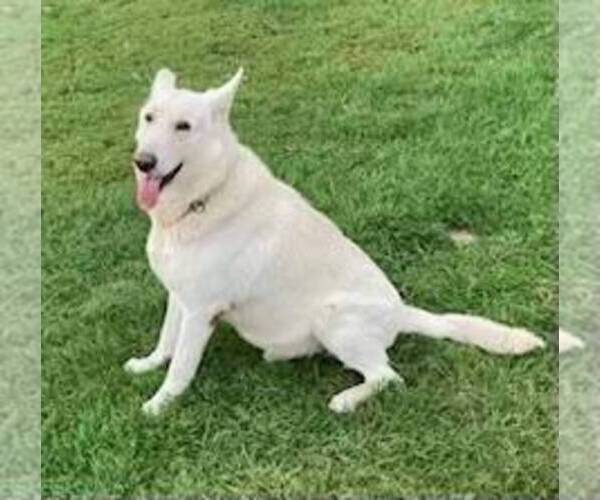 Medium Photo #7  Breeder Profile in OTTAWA, IL, USA