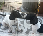 Small #19 Breeder Profile image