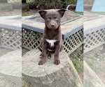Small #1 Breeder Profile image