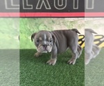 Small #3 Breeder Profile image