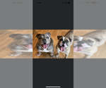 Small #3 Breeder Profile image