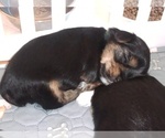 Small #45 Breeder Profile image