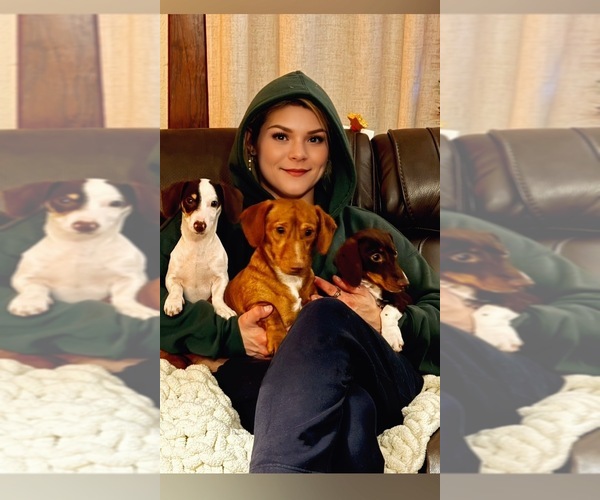 Medium Photo #9  Breeder Profile in COUNCIL GROVE, KS, USA