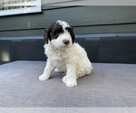 Small #15 Breeder Profile image